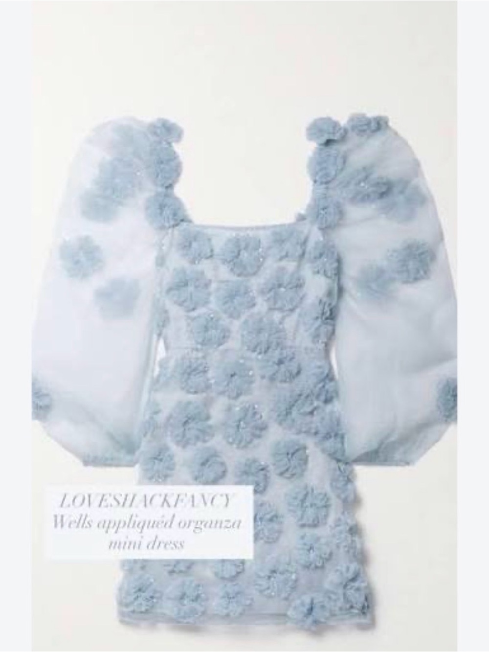Loveshack Fancy Floral Mini Dress in Blue Size 6 NWT